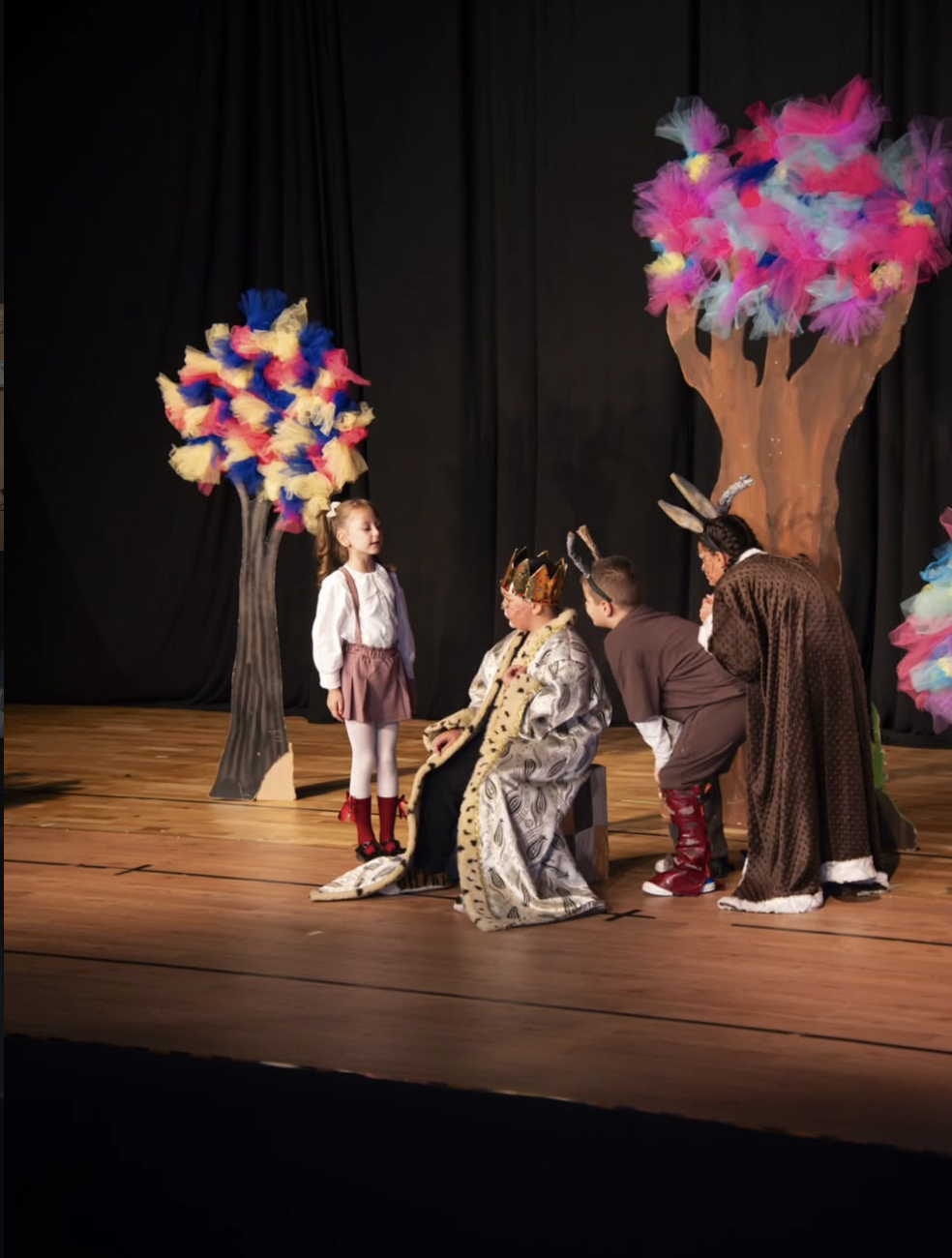 Art Theatre photo 10